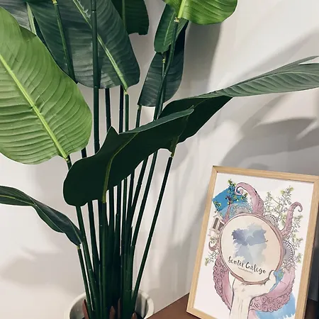 Apartment Con Terraza En El Centro De